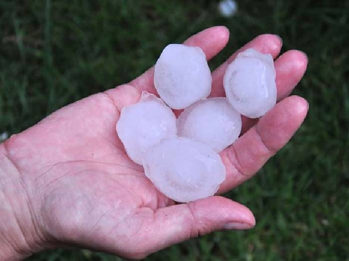 insurance adjuster for hail roof damage in Atlanta