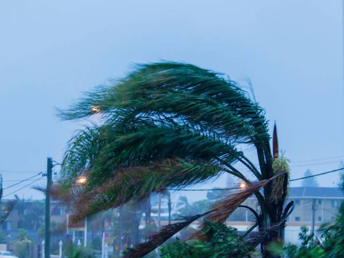 public adjuster for hurricane damage claim in Atlanta